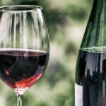 Les vins rouges à découvrir cet hiver : chaleur et convivialité dans votre verre